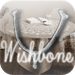 i-Wishbone